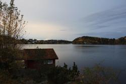 Flosta rekord tidlig start